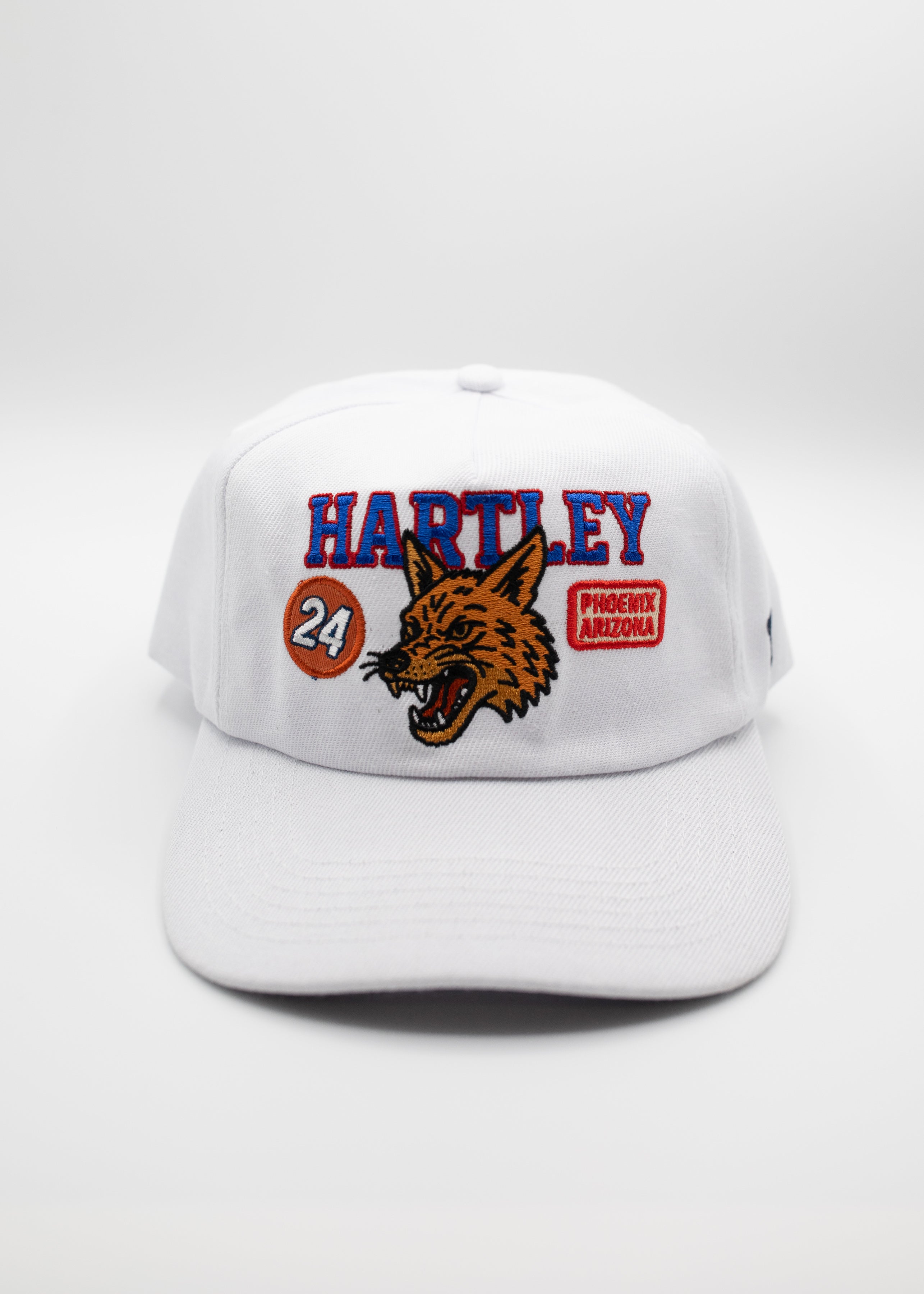 Varsity Snapback